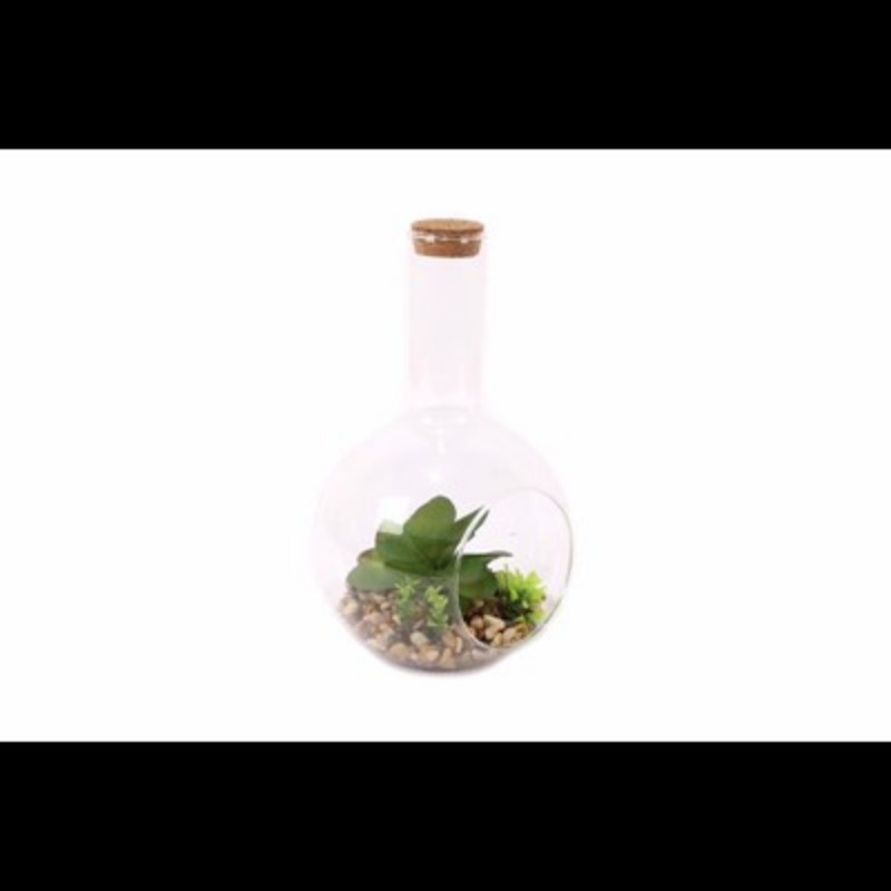 ARTIFICIAL PLANTS SUCCULENT 19X12CM